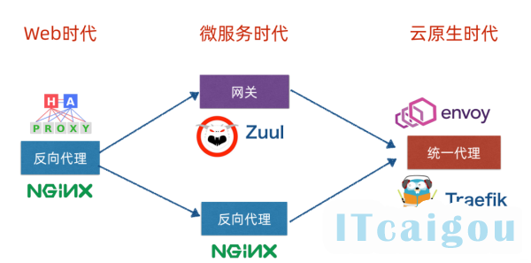 政府采购