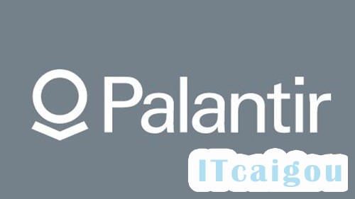 Palantir_500