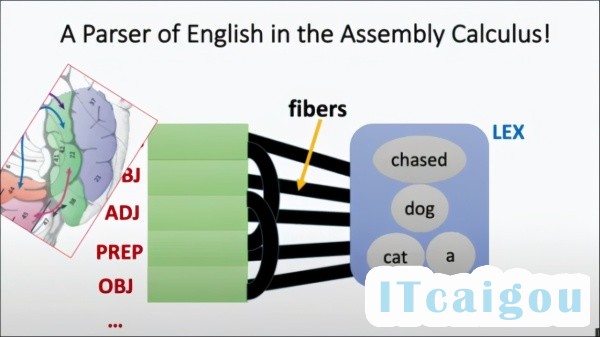 大脑模拟NLP，高德纳奖得主：神经元集合演算用于句子解析